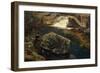 A Mill Dam, 1850-Thomas Fearnley-Framed Giclee Print