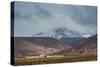 A Mine in a Landscape Surrounded by Mountains Near Salar De Uyuni-Alex Saberi-Stretched Canvas