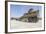 A Mine-Resistant Ambush Protected Vehicle-null-Framed Photographic Print
