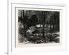 A Miner's Cabin by the American River, California, United States of America-null-Framed Giclee Print