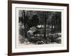 A Miner's Cabin by the American River, California, United States of America-null-Framed Giclee Print