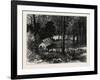 A Miner's Cabin by the American River, California, United States of America-null-Framed Giclee Print