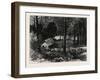 A Miner's Cabin by the American River, California, United States of America-null-Framed Giclee Print