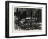 A Miner's Cabin by the American River, California, United States of America-null-Framed Giclee Print