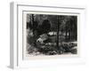 A Miner's Cabin by the American River, California, United States of America-null-Framed Giclee Print