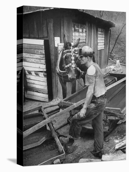 A Miner Standing with a Mule at the Rock House Coal Co. Mine-null-Stretched Canvas