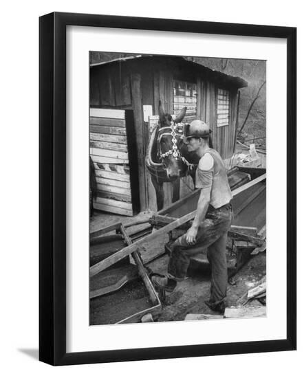 Premium Photographic Print, , large