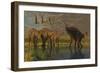 A Miragaia Dinosaur Bellows in Protest as Others Try to Join Him in the Marsh-null-Framed Art Print