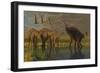 A Miragaia Dinosaur Bellows in Protest as Others Try to Join Him in the Marsh-null-Framed Premium Giclee Print