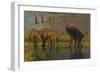A Miragaia Dinosaur Bellows in Protest as Others Try to Join Him in the Marsh-null-Framed Premium Giclee Print