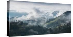 A Mist-Covered Sao Francisco Xavier Region at Sunrise-Alex Saberi-Stretched Canvas