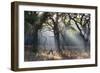 A Misty Autumn Morning Forest Scene in Richmond Park-Alex Saberi-Framed Photographic Print