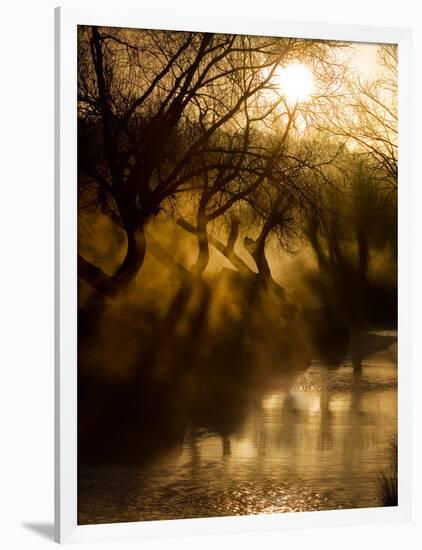 A Misty Brook Early in the Morning in Richmond Park-Alex Saberi-Framed Photographic Print