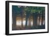 A Misty Forest in Richmond Park-Alex Saberi-Framed Premium Photographic Print