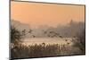 A misty sunrise over the Great Lake on the Castle Howard Estate, North Yorkshire, Yorkshire, Englan-John Potter-Mounted Photographic Print