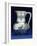 A Mixed Metal Pitcher by Tiffany & Co, New York Circa 1877-Georges Causard-Framed Giclee Print