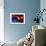 A Mixture of Colorful Stars, Planets, Nebulae and Galaxies-null-Framed Art Print displayed on a wall