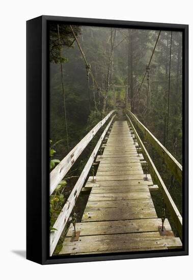 A Modern Hanging Bridge Crosses Above the Chasm of Tsocowis Creek-Sergio Ballivian-Framed Stretched Canvas