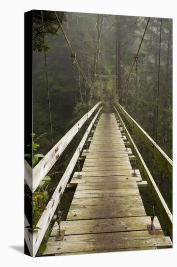 A Modern Hanging Bridge Crosses Above the Chasm of Tsocowis Creek-Sergio Ballivian-Stretched Canvas