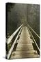 A Modern Hanging Bridge Crosses Above the Chasm of Tsocowis Creek-Sergio Ballivian-Stretched Canvas