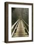 A Modern Hanging Bridge Crosses Above the Chasm of Tsocowis Creek-Sergio Ballivian-Framed Photographic Print