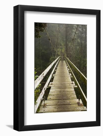 A Modern Hanging Bridge Crosses Above the Chasm of Tsocowis Creek-Sergio Ballivian-Framed Photographic Print