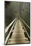 A Modern Hanging Bridge Crosses Above the Chasm of Tsocowis Creek-Sergio Ballivian-Mounted Photographic Print