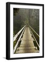 A Modern Hanging Bridge Crosses Above the Chasm of Tsocowis Creek-Sergio Ballivian-Framed Photographic Print