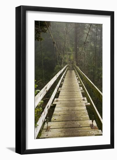 A Modern Hanging Bridge Crosses Above the Chasm of Tsocowis Creek-Sergio Ballivian-Framed Photographic Print