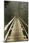 A Modern Hanging Bridge Crosses Above the Chasm of Tsocowis Creek-Sergio Ballivian-Mounted Photographic Print