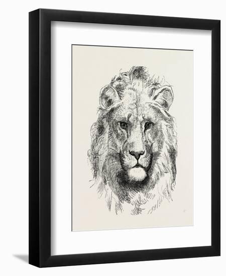 A Modern Lion-null-Framed Premium Giclee Print