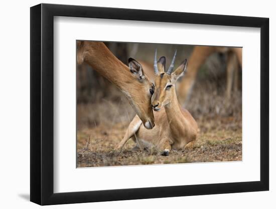 A Moment of Love-Mario Moreno-Framed Photographic Print