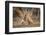 A Moment of Love-Mario Moreno-Framed Photographic Print