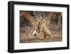 A Moment of Love-Mario Moreno-Framed Photographic Print