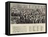 A Momento of Her Majesty's Jubilee Year, 1887-null-Framed Stretched Canvas