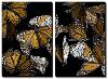 A Monarch Butterfly (Danaus Plexippus)-Joel Sartore-Stretched Canvas