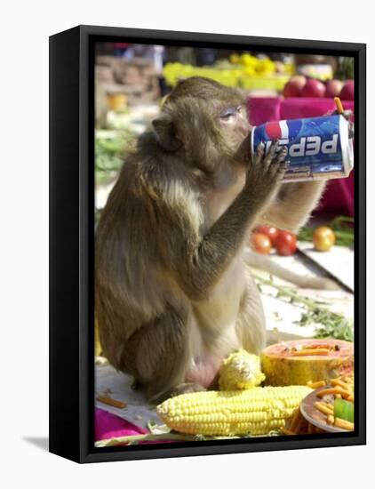 A Monkey Drinks Cola-null-Framed Stretched Canvas