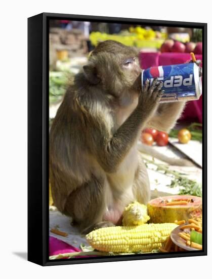A Monkey Drinks Cola-null-Framed Stretched Canvas
