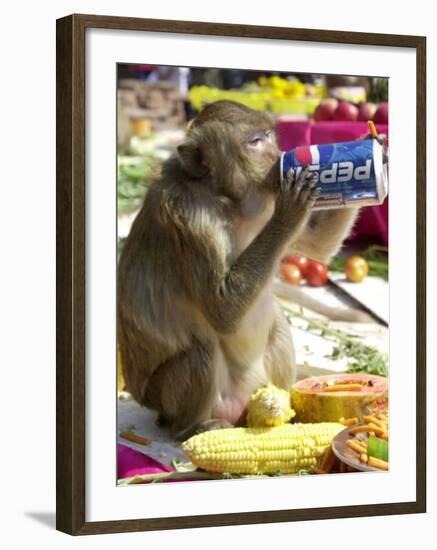 A Monkey Drinks Cola-null-Framed Premium Photographic Print