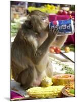 A Monkey Drinks Cola-null-Mounted Premium Photographic Print