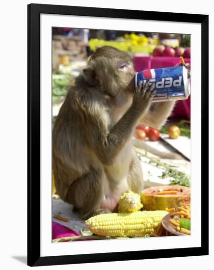 A Monkey Drinks Cola-null-Framed Photographic Print