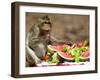 A Monkey Eats Watermelon on a Round Table 10 Meters (33 Feet)-null-Framed Photographic Print