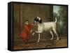 A Monkey Wearing Crimson Livery Dancing with a Poodle on the Terrace of a Country House-John Wootton-Framed Stretched Canvas