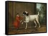 A Monkey Wearing Crimson Livery Dancing with a Poodle on the Terrace of a Country House-John Wootton-Framed Stretched Canvas