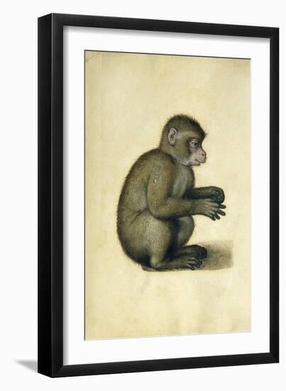 A Monkey-Albrecht Dürer-Framed Giclee Print