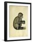 A Monkey-Albrecht Dürer-Framed Giclee Print