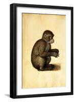 A Monkey-Albrecht Dürer-Framed Giclee Print