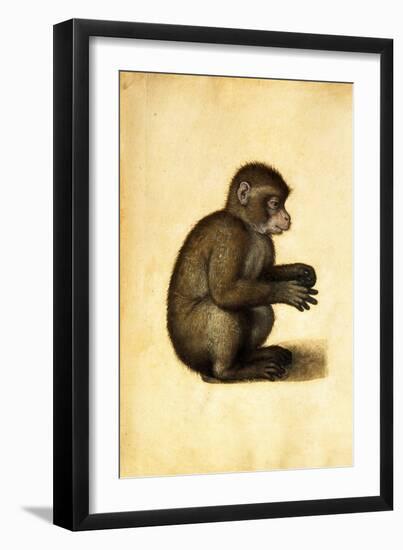 A Monkey-Albrecht Dürer-Framed Giclee Print