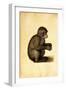 A Monkey-Albrecht Dürer-Framed Giclee Print