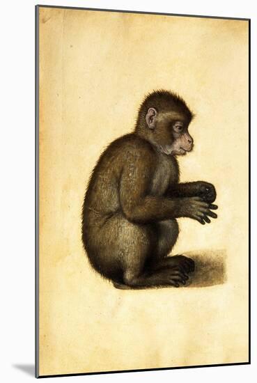 A Monkey-Albrecht Dürer-Mounted Giclee Print